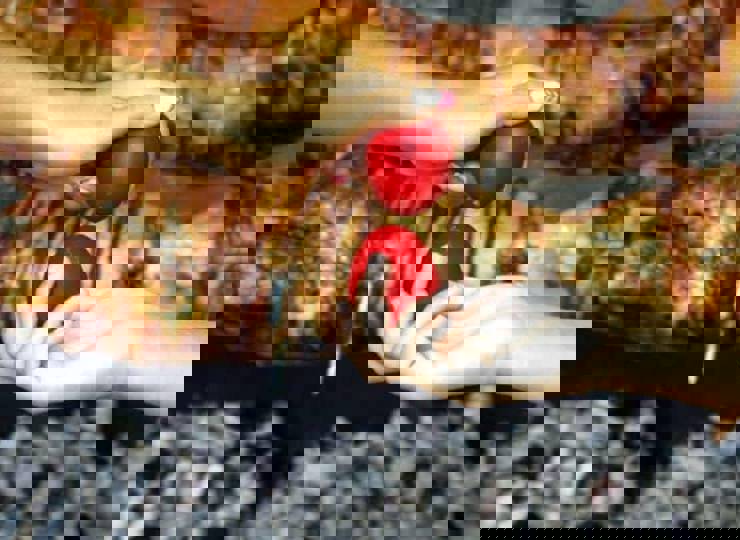 The Grand Easter Feast Feast with Live Violin Vibes