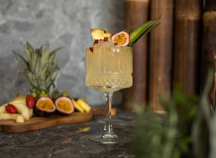 Salty Under the Stars