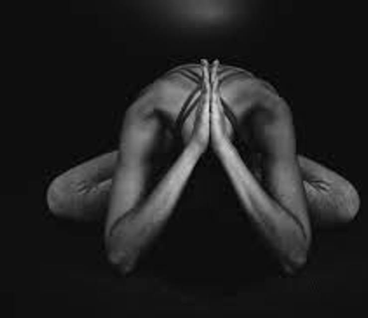 Wellness is a way of living: Daily Yoga program